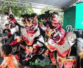 telenord158 telenord158