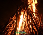 telenord012 telenord012