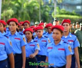 telenord137 telenord137