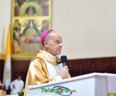 telenord339 telenord339