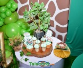 telenord008 telenord008