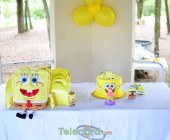 telenord00015 telenord00015