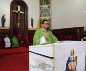 telenord00029 telenord00029