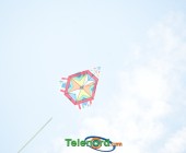 telenord231 telenord231