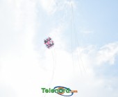 telenord235 telenord235