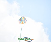 telenord276 telenord276