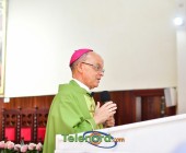 telenord00161