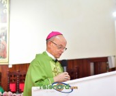 telenord00163