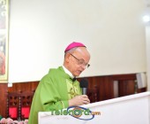 telenord00165