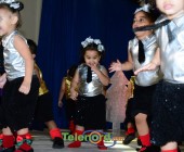 telenord00167 telenord00167