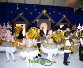 telenord00182 telenord00182