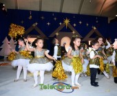 telenord00187 telenord00187