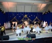 telenord00213 telenord00213