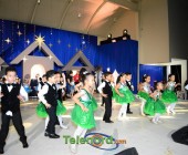 telenord00233 telenord00233