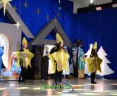 telenord00247 telenord00247