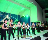 telenord00264 telenord00264