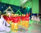 telenord00274 telenord00274