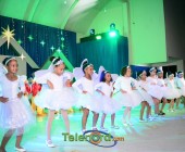 telenord00290 telenord00290