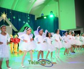 telenord00291 telenord00291