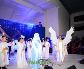 telenord00298 telenord00298