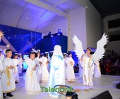 telenord00299 telenord00299