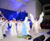 telenord00305 telenord00305