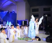 telenord00313 telenord00313