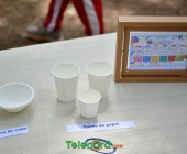 telenord594