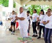 telenord00387 telenord00387