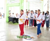 telenord00582 telenord00582