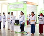 telenord00612 telenord00612