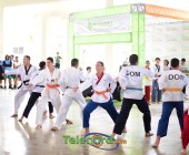 telenord00629 telenord00629