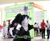 telenord00665 telenord00665