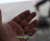 telenord00106 telenord00106