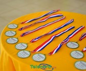 telenord002 telenord002