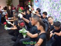 telenord220