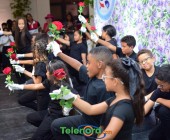telenord220