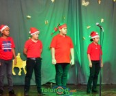 telenord060 telenord060