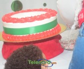 telenord00029 telenord00029