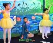 telenord077 telenord077