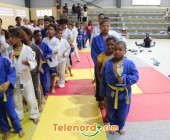 telenord00102