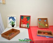 telenord059 telenord059