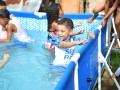 imagen00167