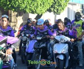 telenord00658 telenord00658