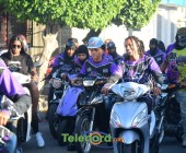 telenord00660 telenord00660