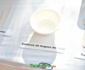 telenord237