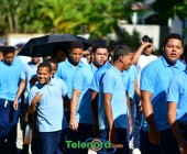 telenord078 telenord078