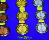 telenord011 telenord011