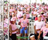 telenord1062 telenord1062