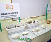 telenord07920 telenord07920